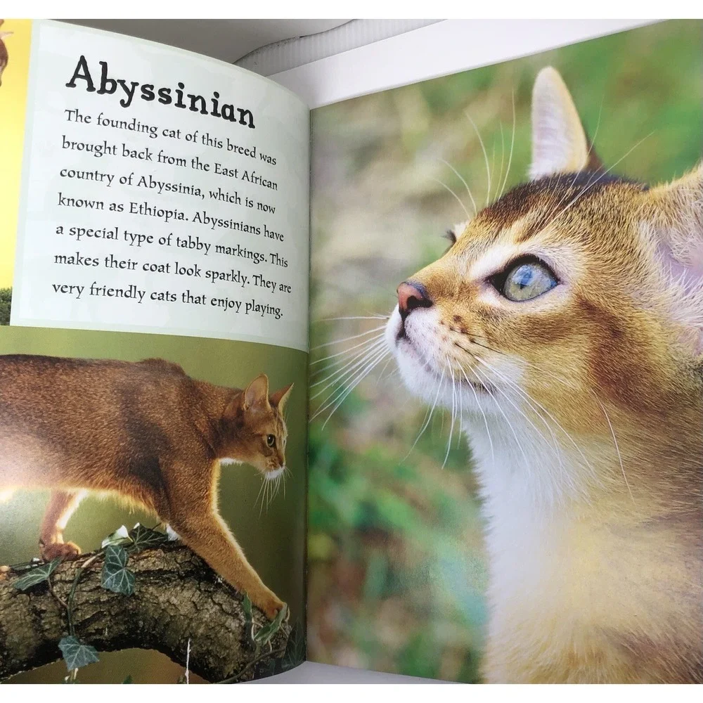 I Love: Cats and Kittens by Alderton, David (2014) Paperback Information Book‎